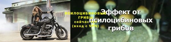 первитин Надым