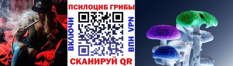 Псилоцибиновые грибы мухоморы  купить наркоту  Подольск 