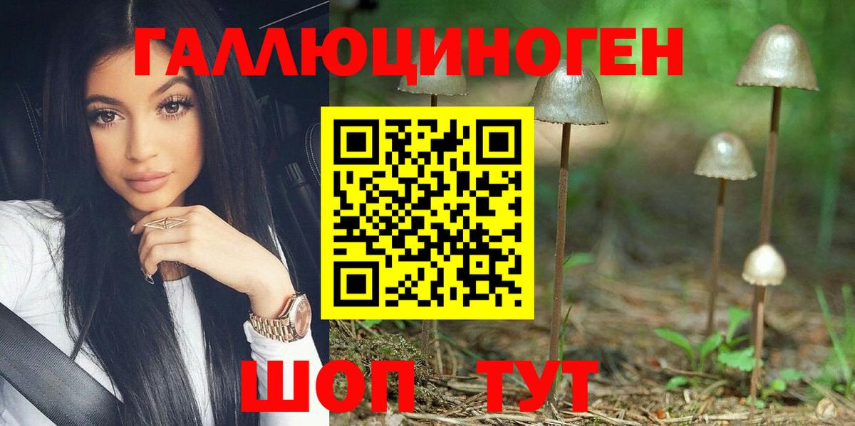 Подольск  магазин продажи   Вход с VPN  Псилоцибиновые грибы MAGIC MUSHROOMS  Галлюциногенные грибы Psilocybine cubensis 