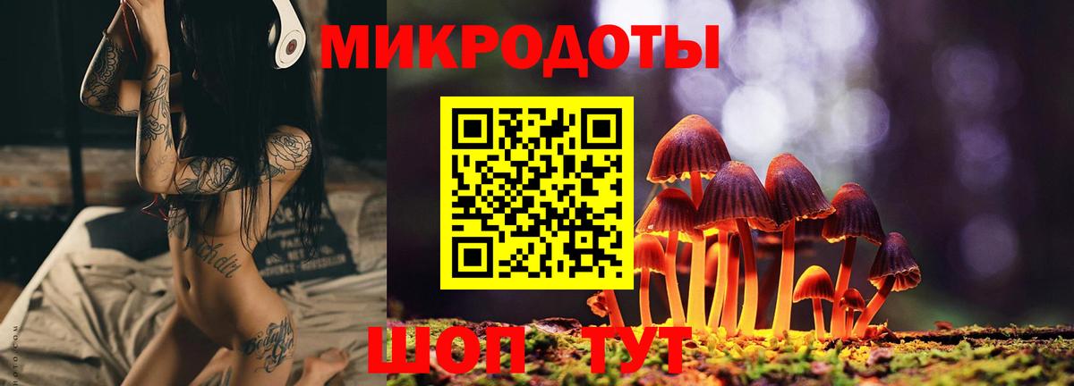 Галлюциногенные грибы GOLDEN TEACHER  купить   Подольск 
